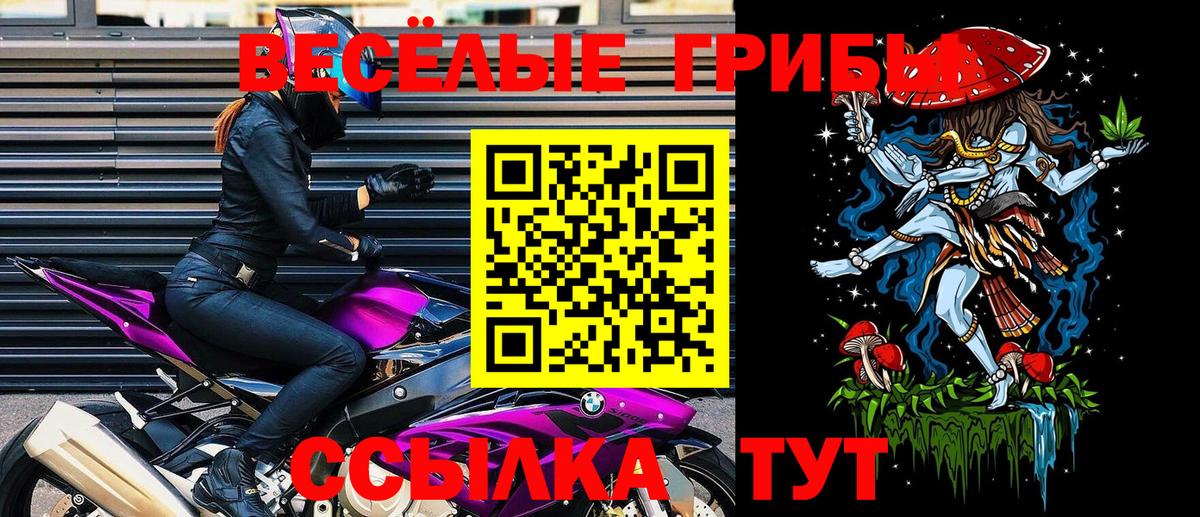 Псилоцибиновые грибы GOLDEN TEACHER  Вход с VPN  цена наркотик  Полевской 